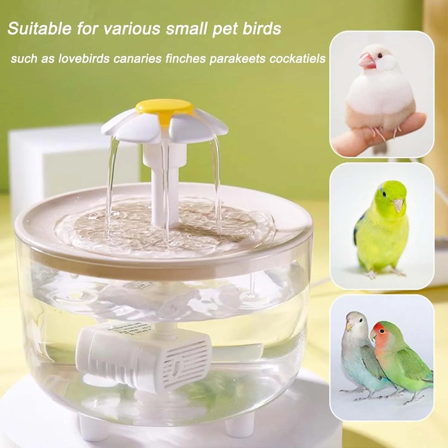 Indoor Bird Bath Fountain Automatic