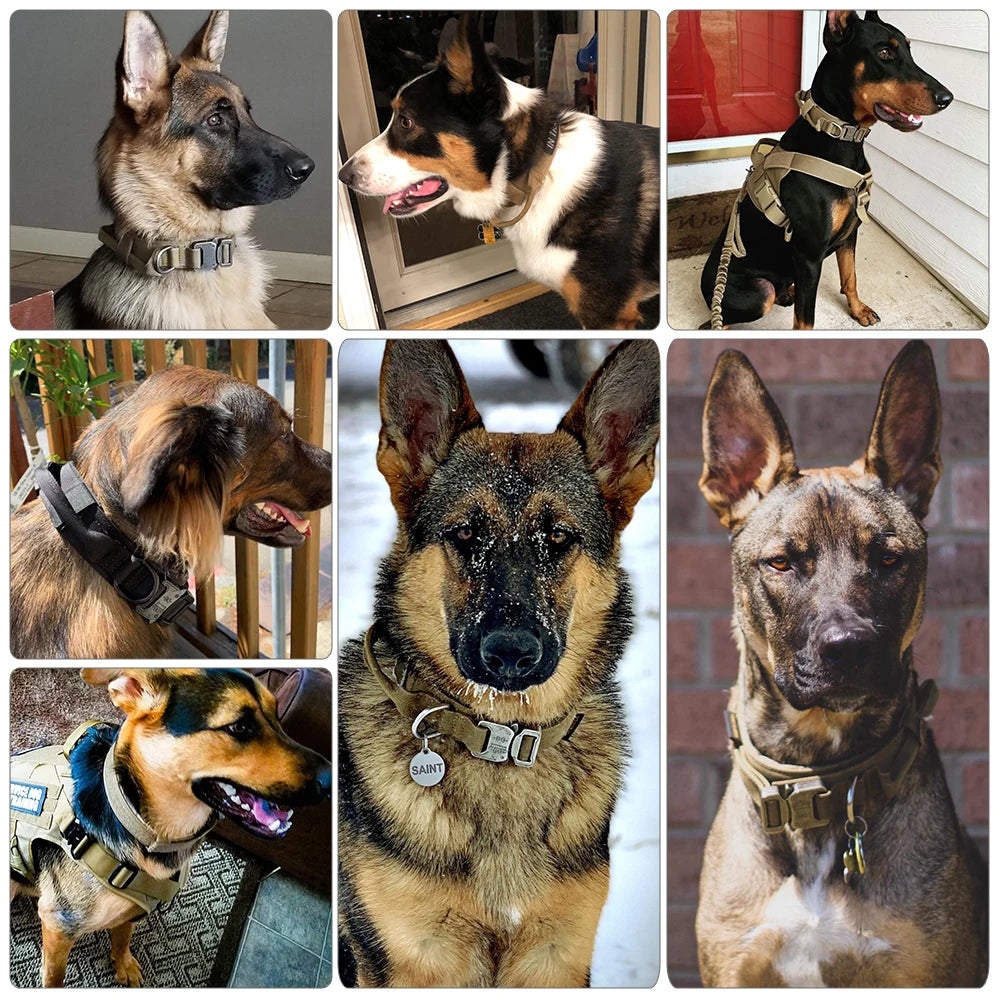 Adjustable Tactical Dog Collar and Leash