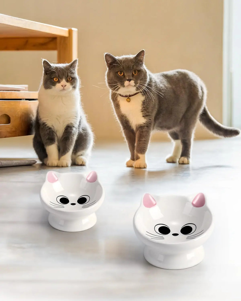Ceramic Raised Cat Food Bowl