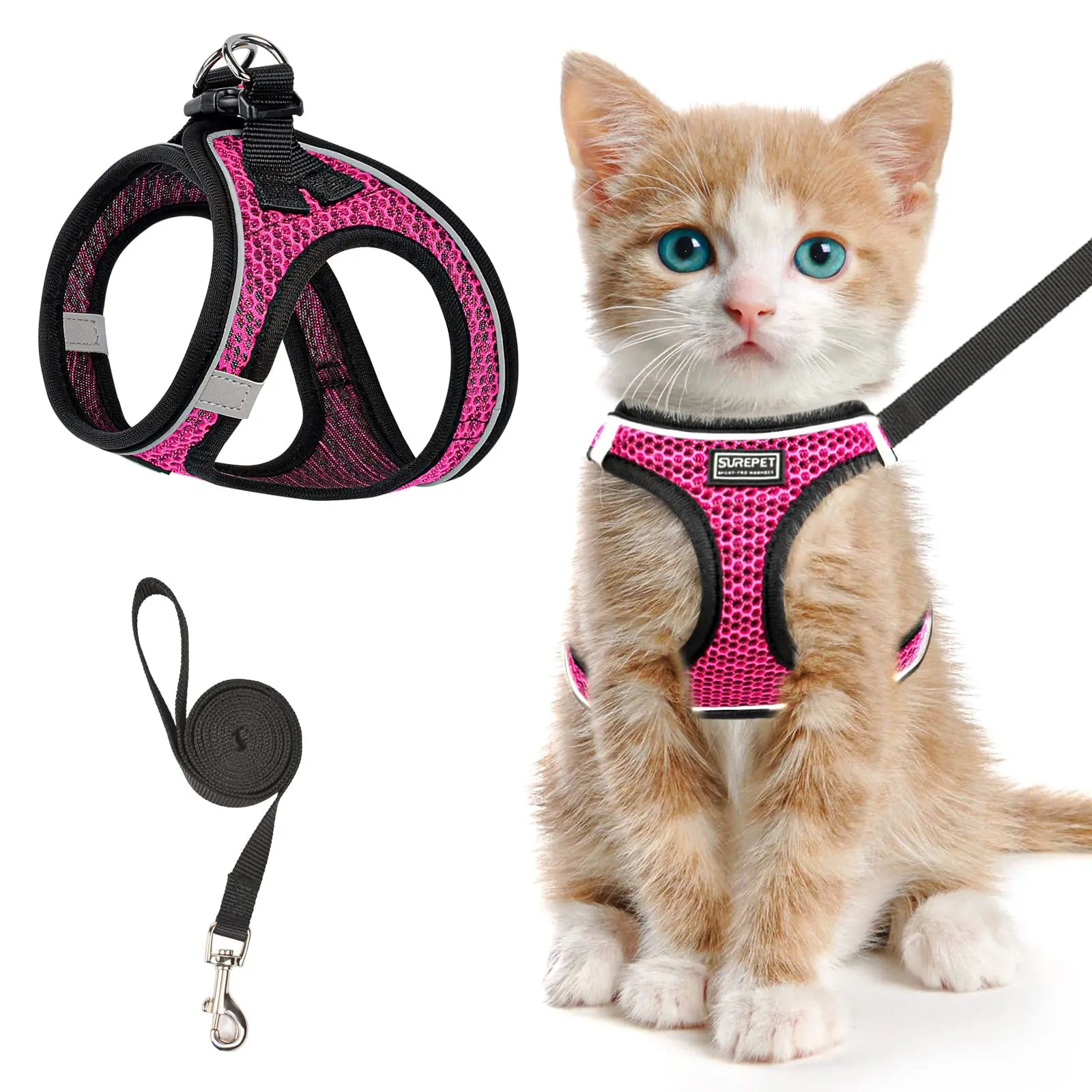 Cat Harness and Leash