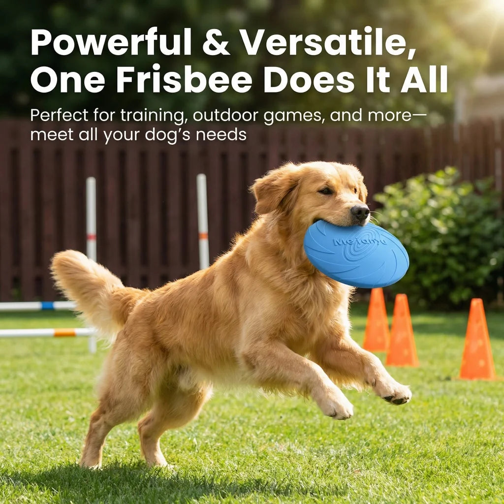 Dog Flying Disc Toy