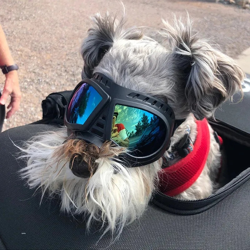 Pet Goggles UV Protection