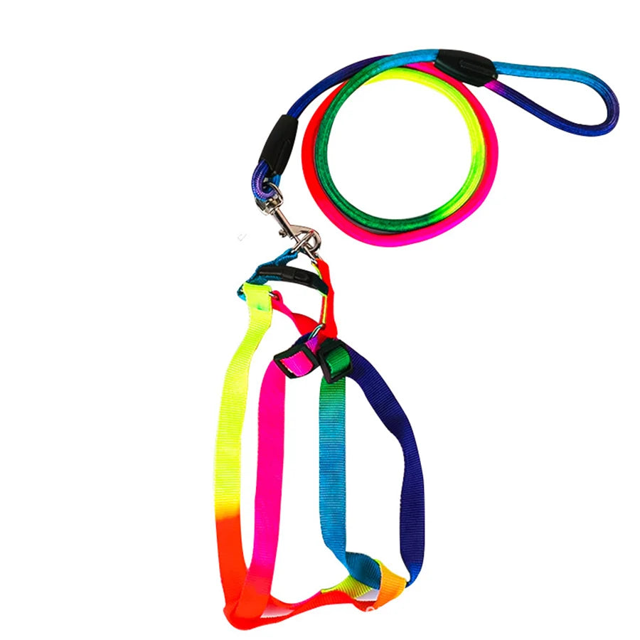 Leash + Harness Two-Piece Set