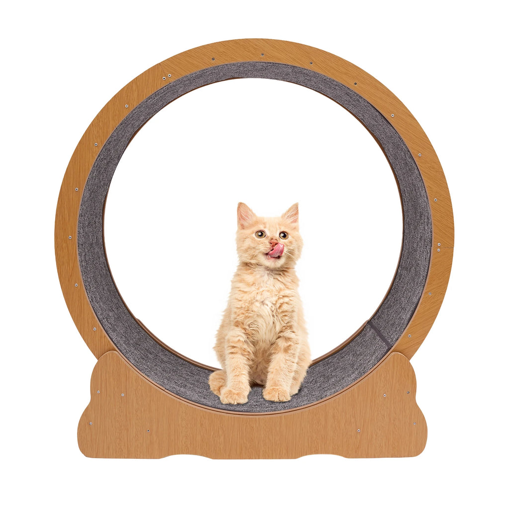 Wooden Cat Exercise Wheel Silent Treadmill
