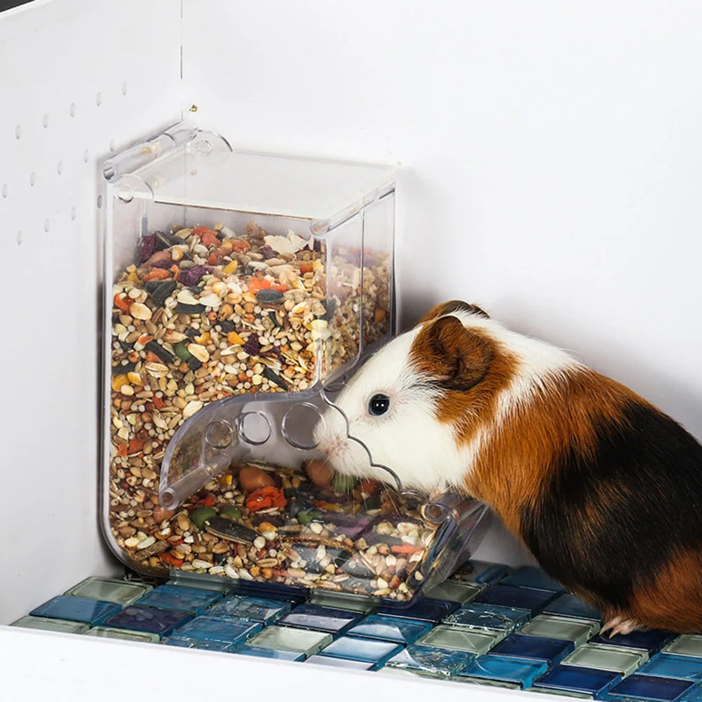 Automatic Food Bowl