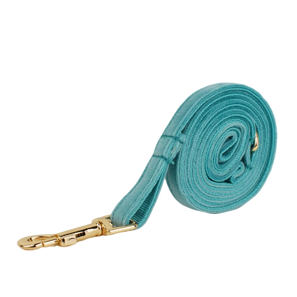 Cute Bowknot Collar Personalized