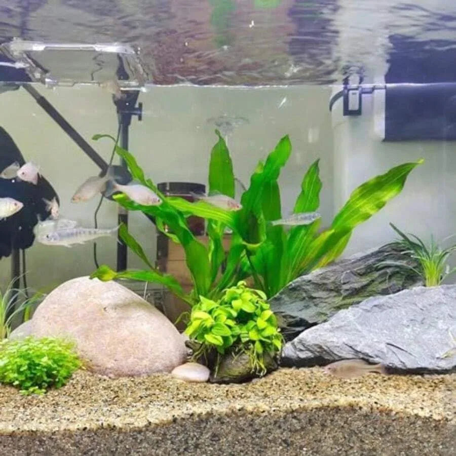 Aquarium Sand 0.6-1.2 Mm Aquarium Substrate For Freshwater Fish Tank. Decorative River Rocks Gravel For Fish Tank