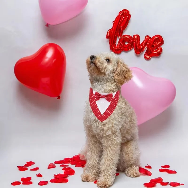 Formal Pet Wedding Suit