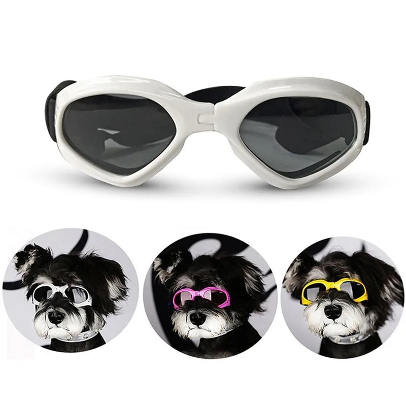 Pet Sunglasses