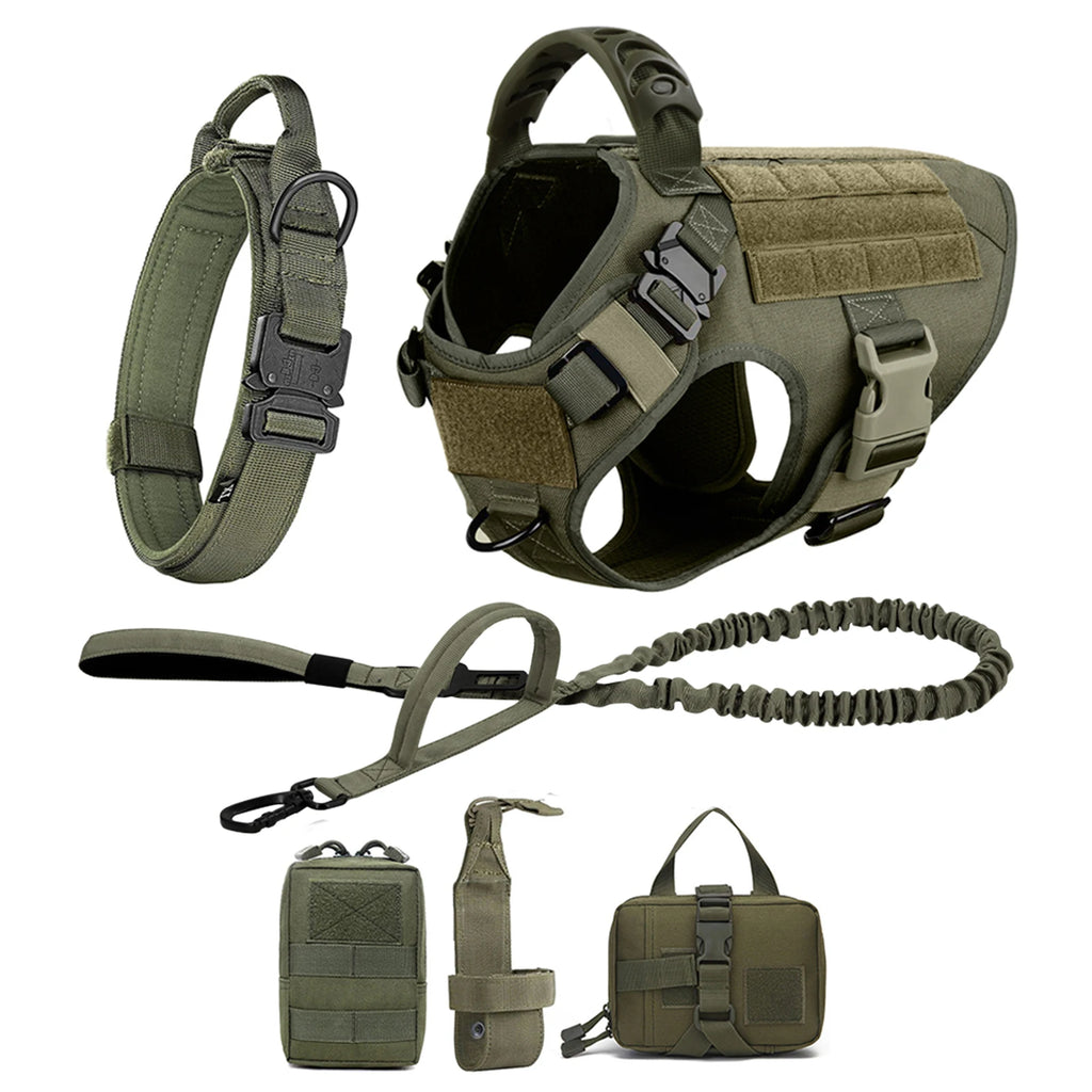 Dog Harness And Leash Set