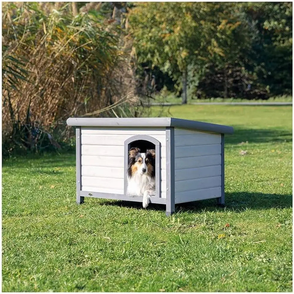 Dog House