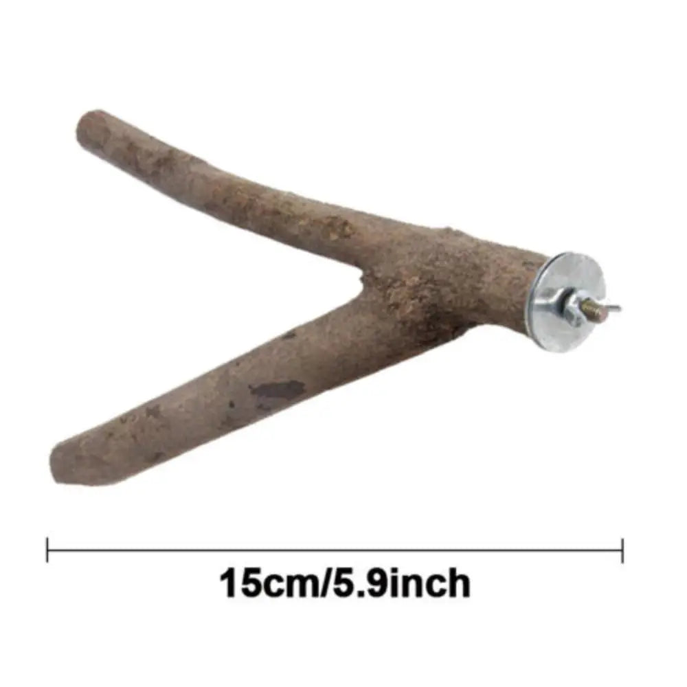 Wood Bird Stand Tree Branch