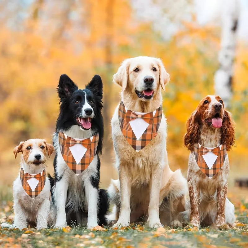 Formal Pet Wedding Suit