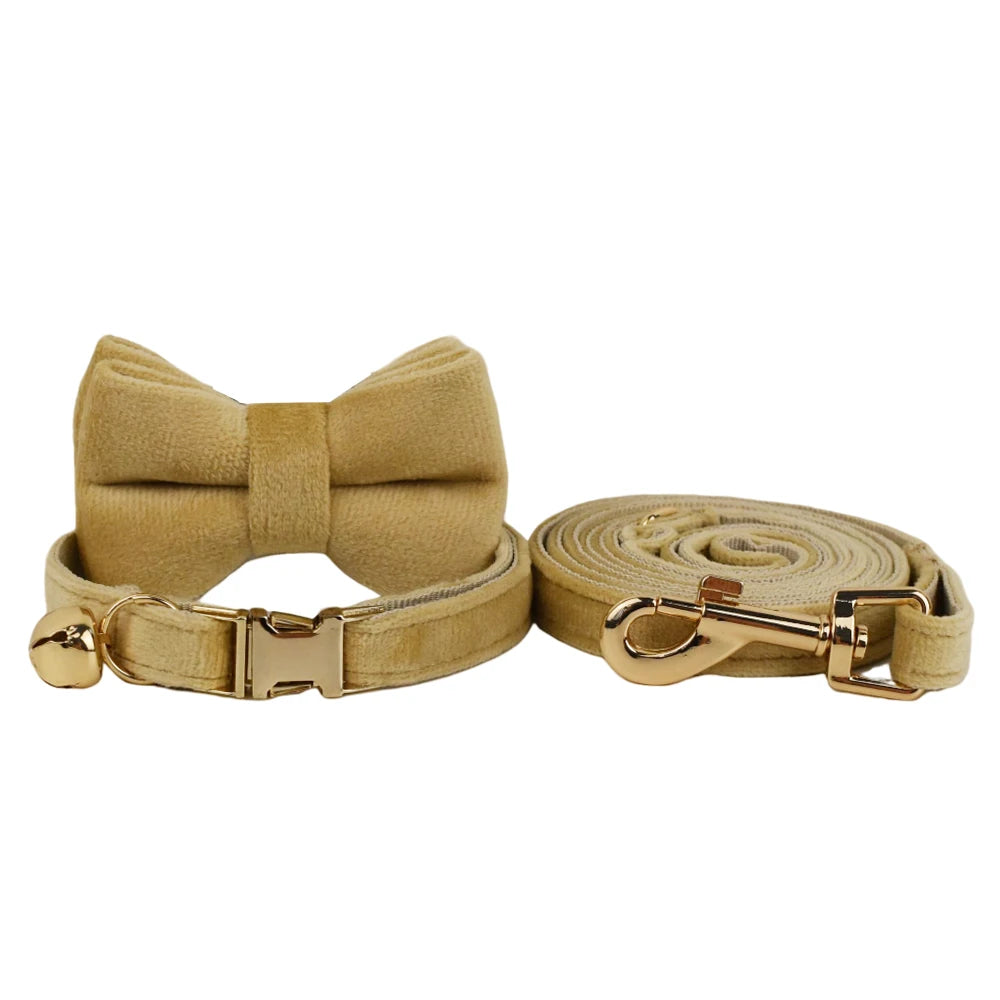 Cute Bowknot Collar Personalized