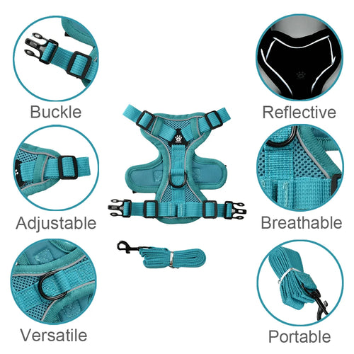 Adjustable Harness Leash