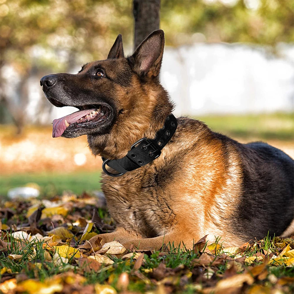 Tactical Dog Collar