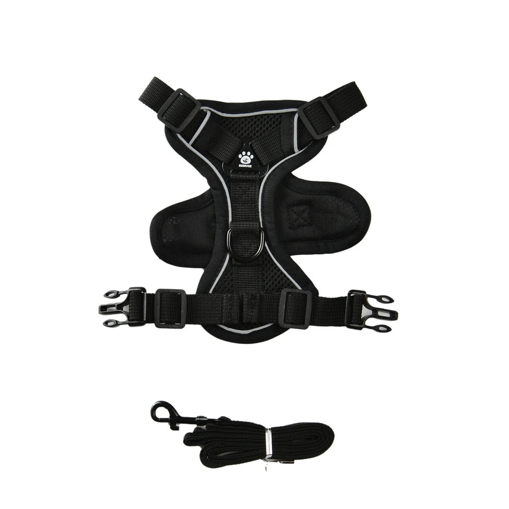 Adjustable Harness Leash