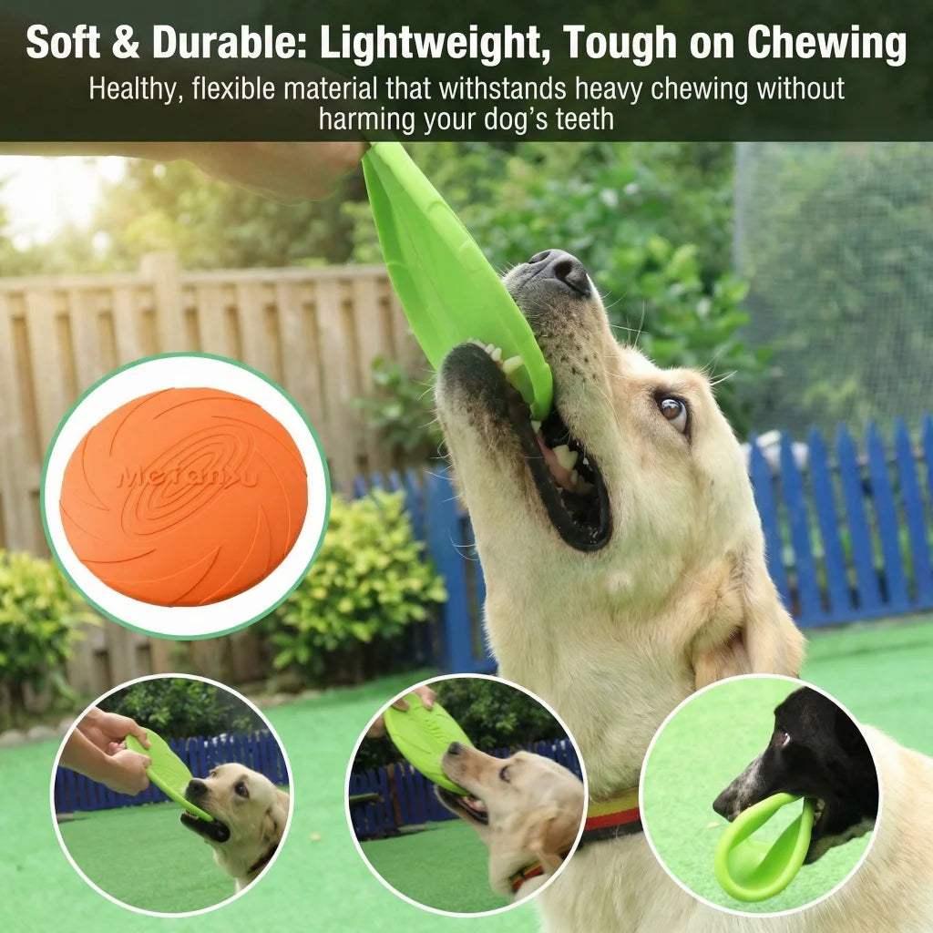 Dog Flying Disc Toy