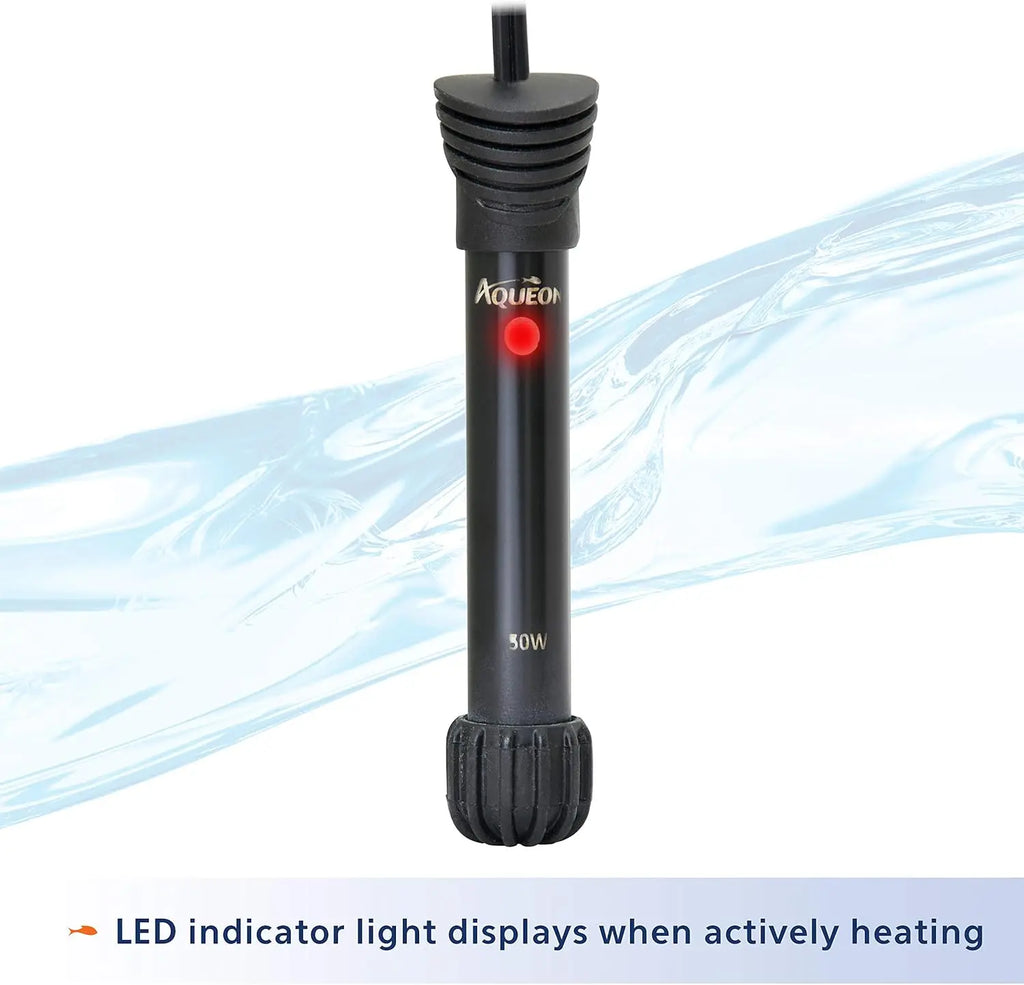 10 Gallon Fish Tank Starter Kit with LED Light, Filter, Heater & Accessories for Beginners