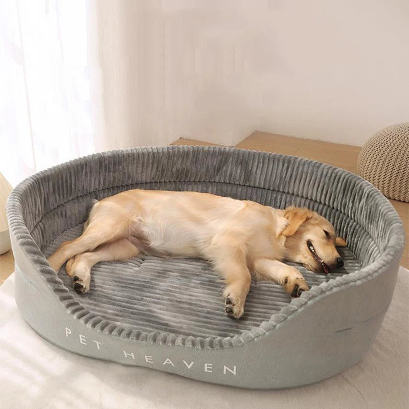 Orthopedic Dog Bed
