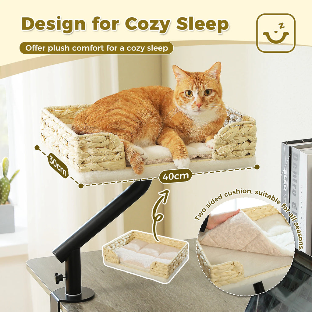 Pet Desk Bed