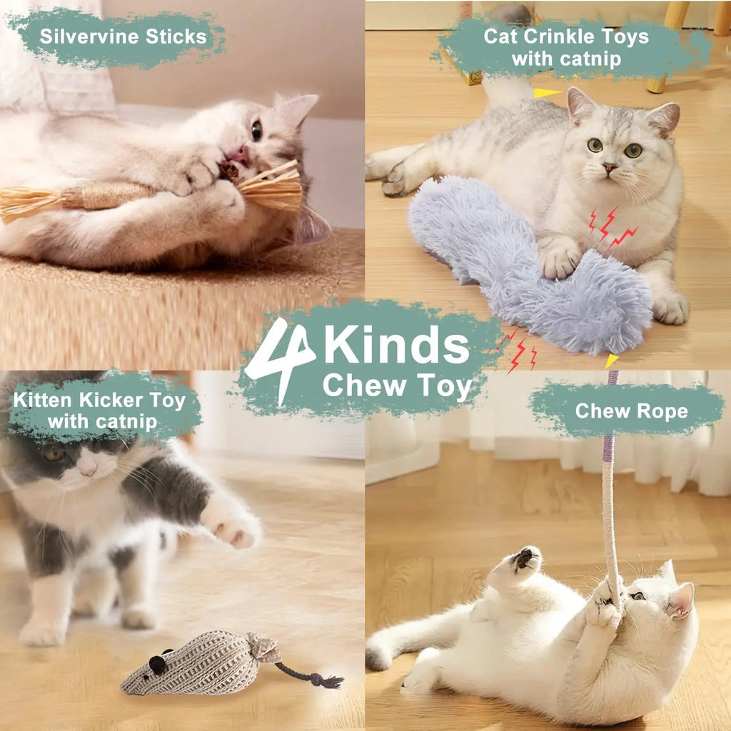 7-in-1 Interactive Cat Toy with Suction Cup