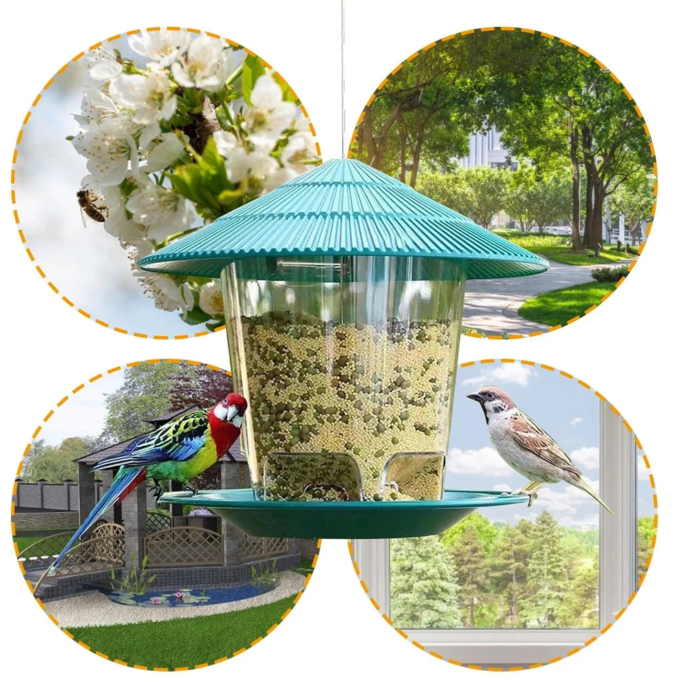 Outdoor Bird Feeder Hanging