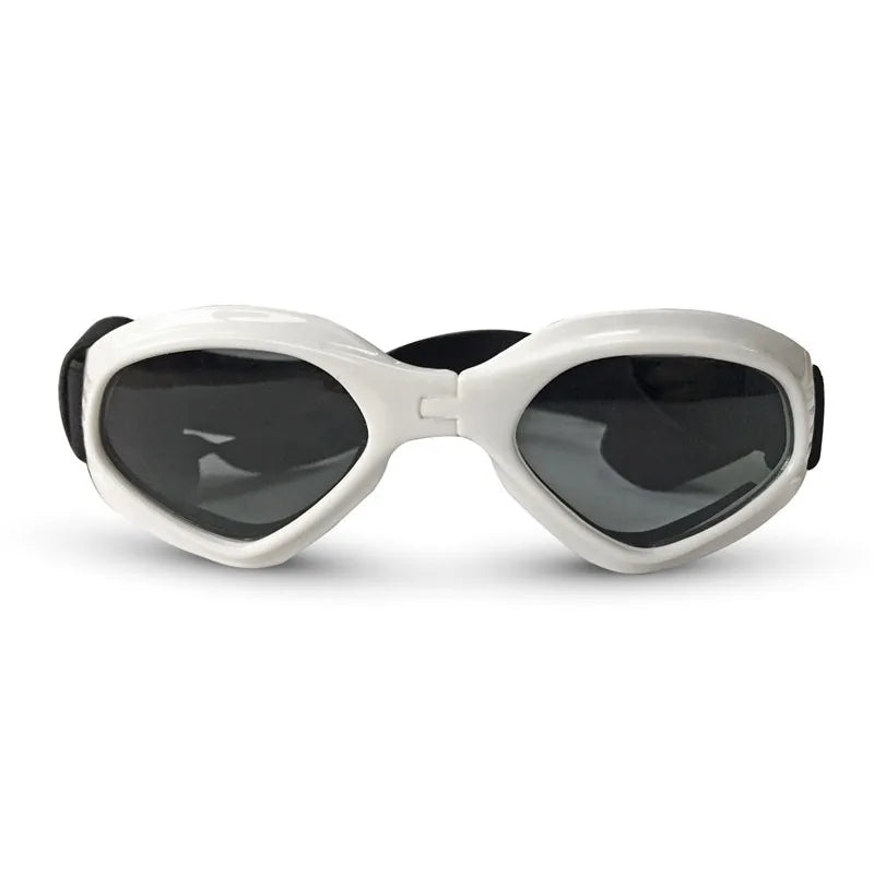 Pet Sunglasses