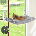 Glow in The Dark Pet Window Perch