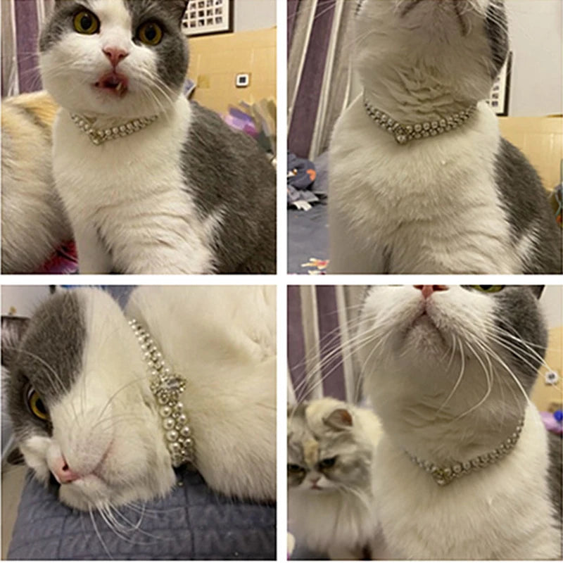 Luxury Pearl Necklace Rhinestone Collar
