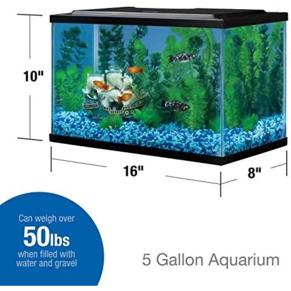 5 5 Gallon Rectangular Glass Aquarium Tank for Fish