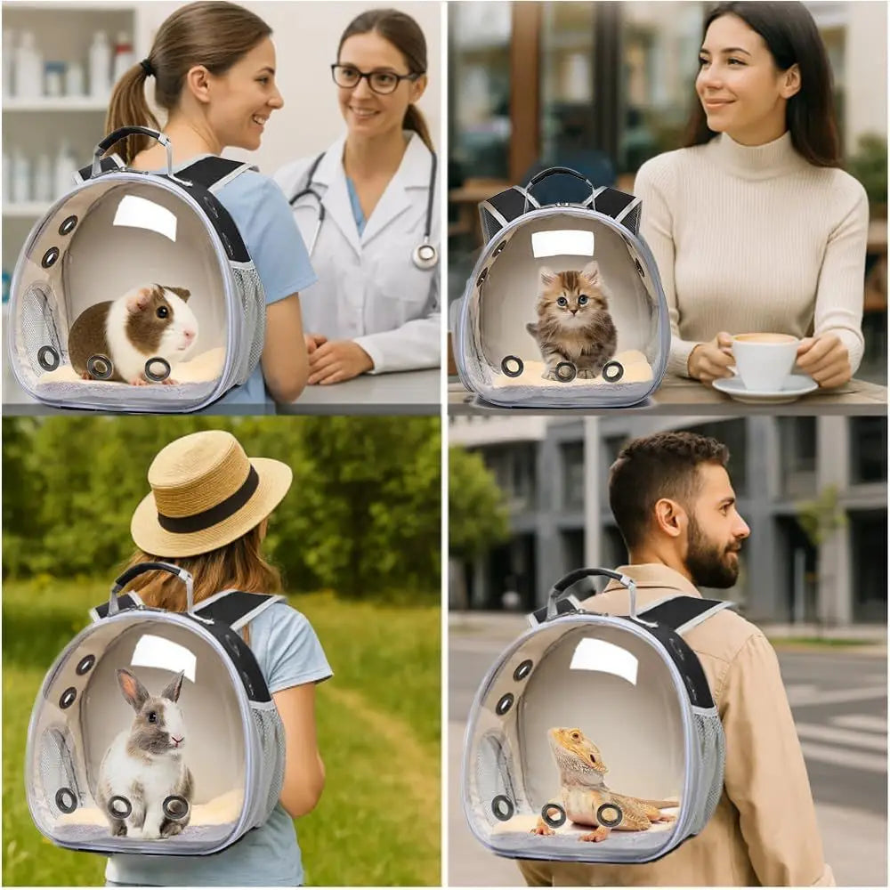 Small Animal Carrier