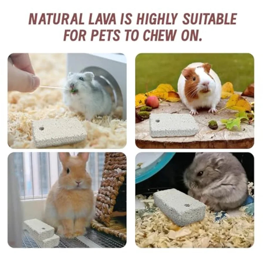 18 Pcs Small Animal Lava Bites Chews Mineral Calcium Stone