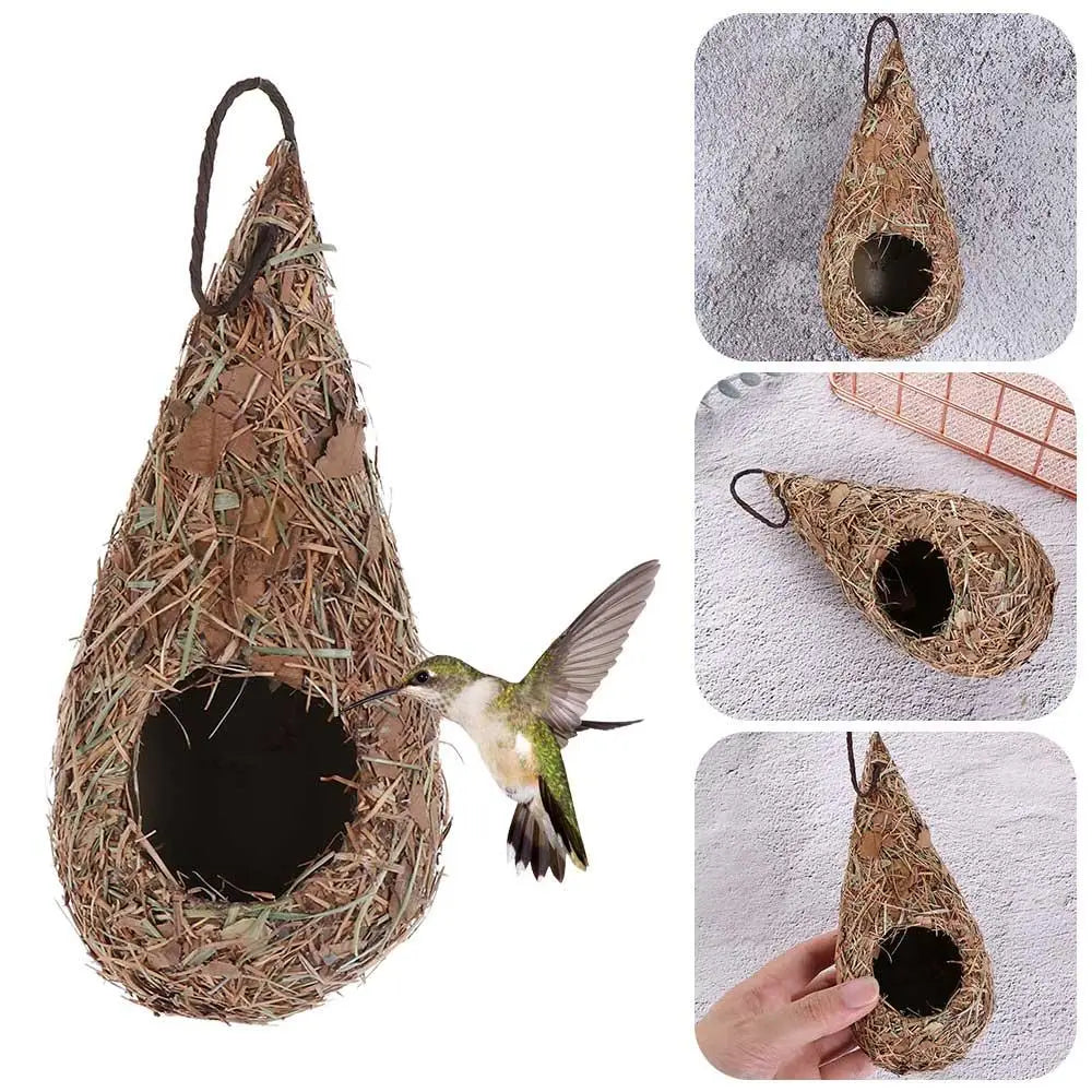 Natural Grass Hummingbird Bird Nest