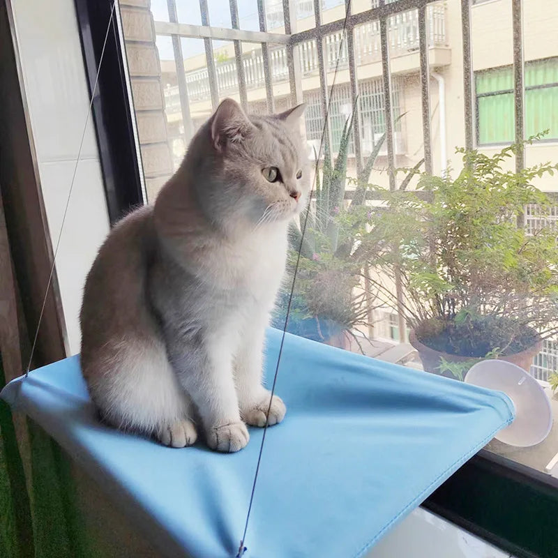 Pet Hammock Hanging Bed