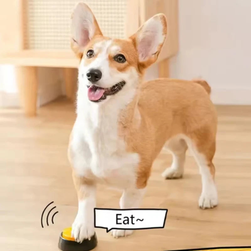 Recordable Talking Dog Buttons