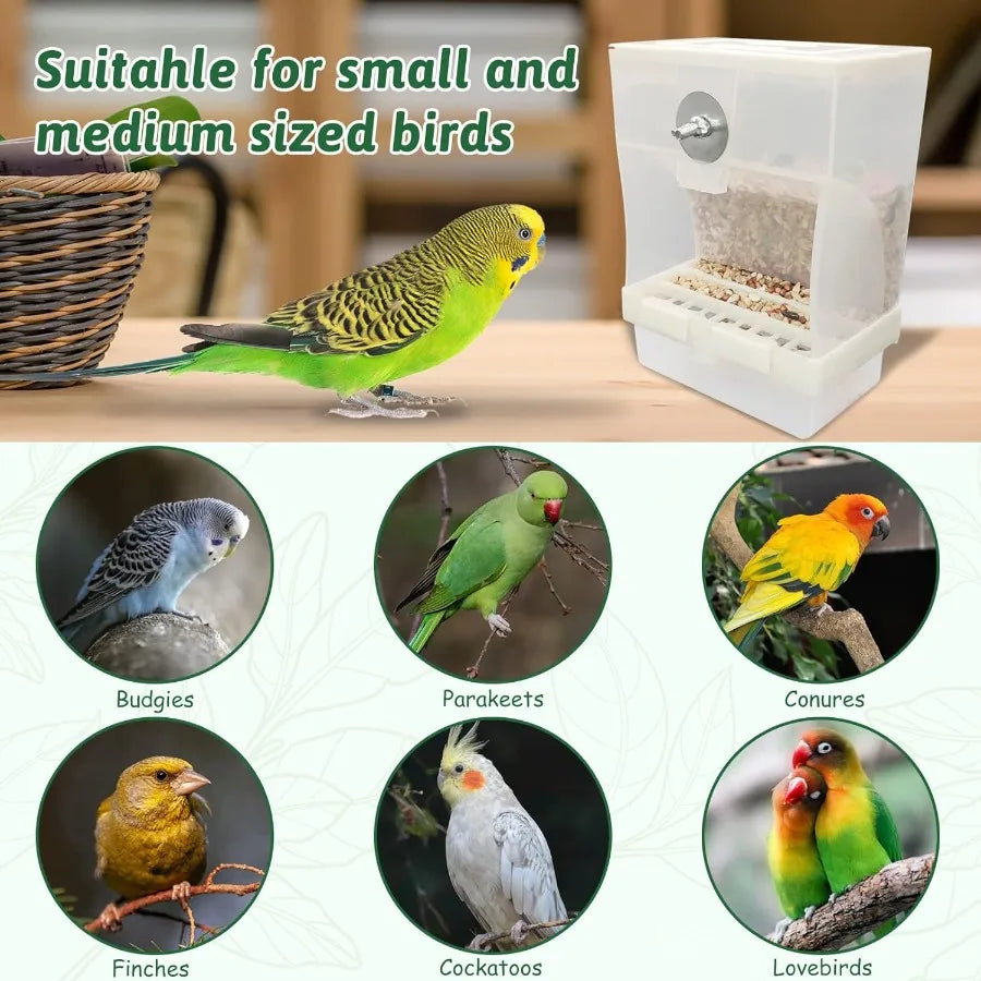 No Mess Automatic Bird Feeders