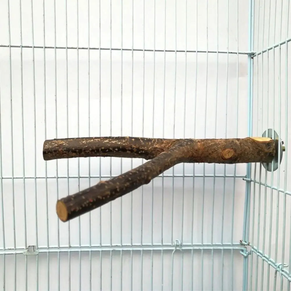 Wood Bird Stand Tree Branch