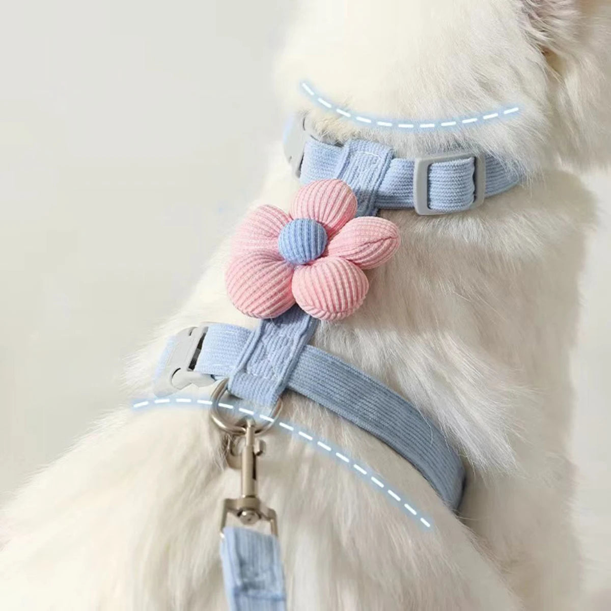 Harness and Leash Sets Adjustable