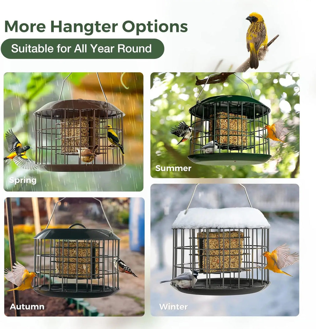Squirrel Proof Suet Feeder