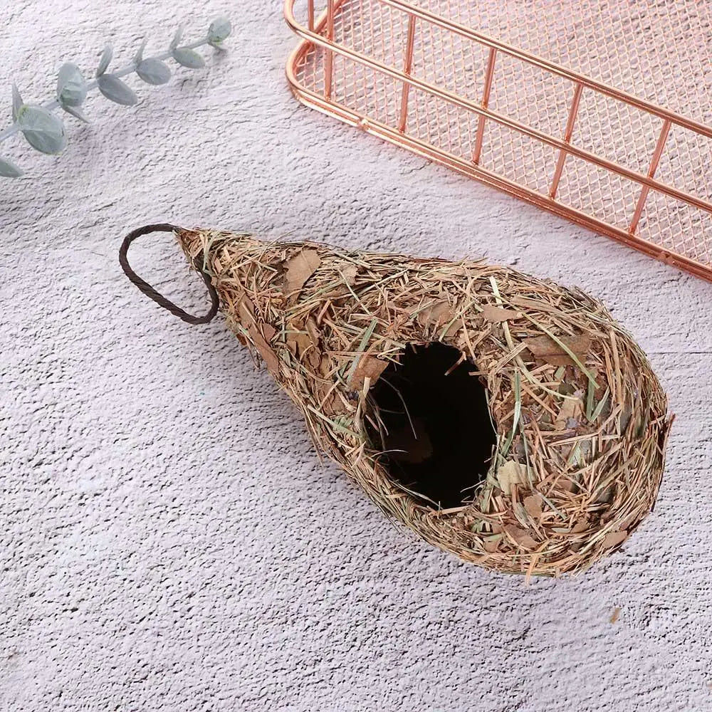 Natural Grass Hummingbird Bird Nest