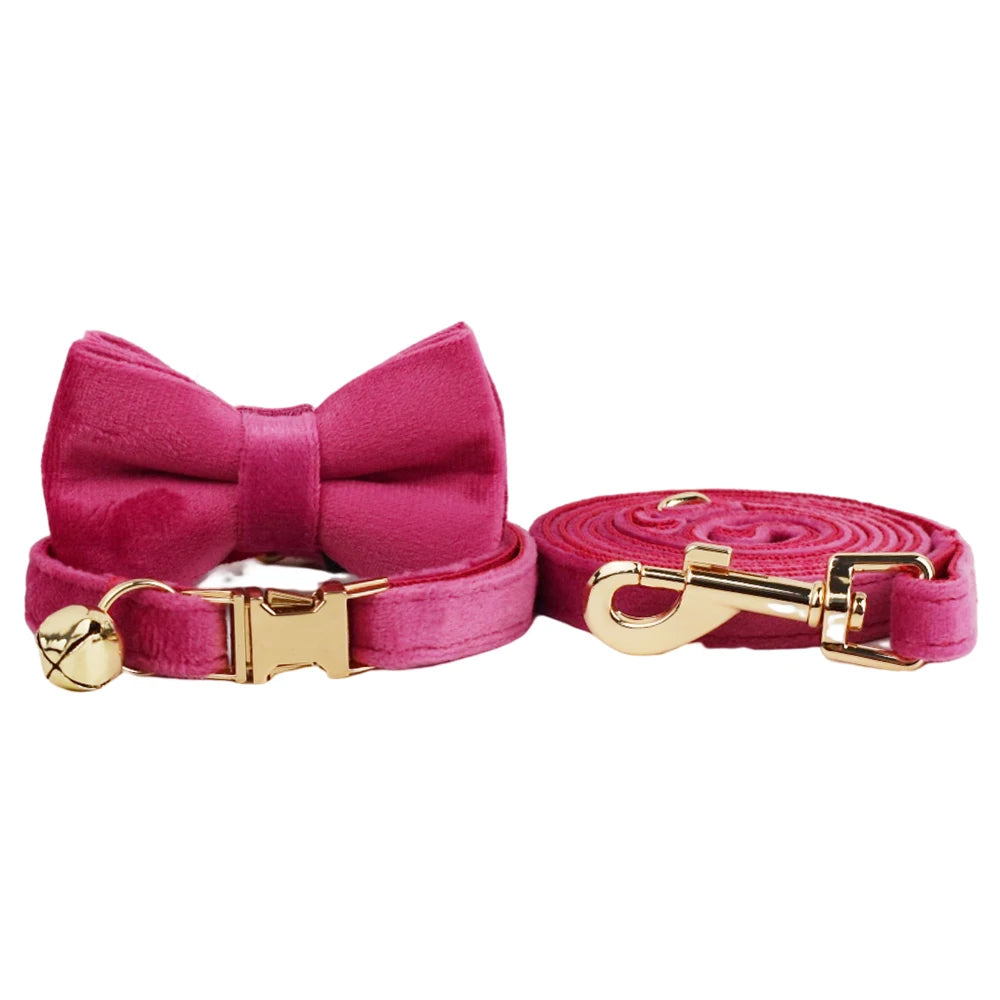 Cute Bowknot Collar Personalized