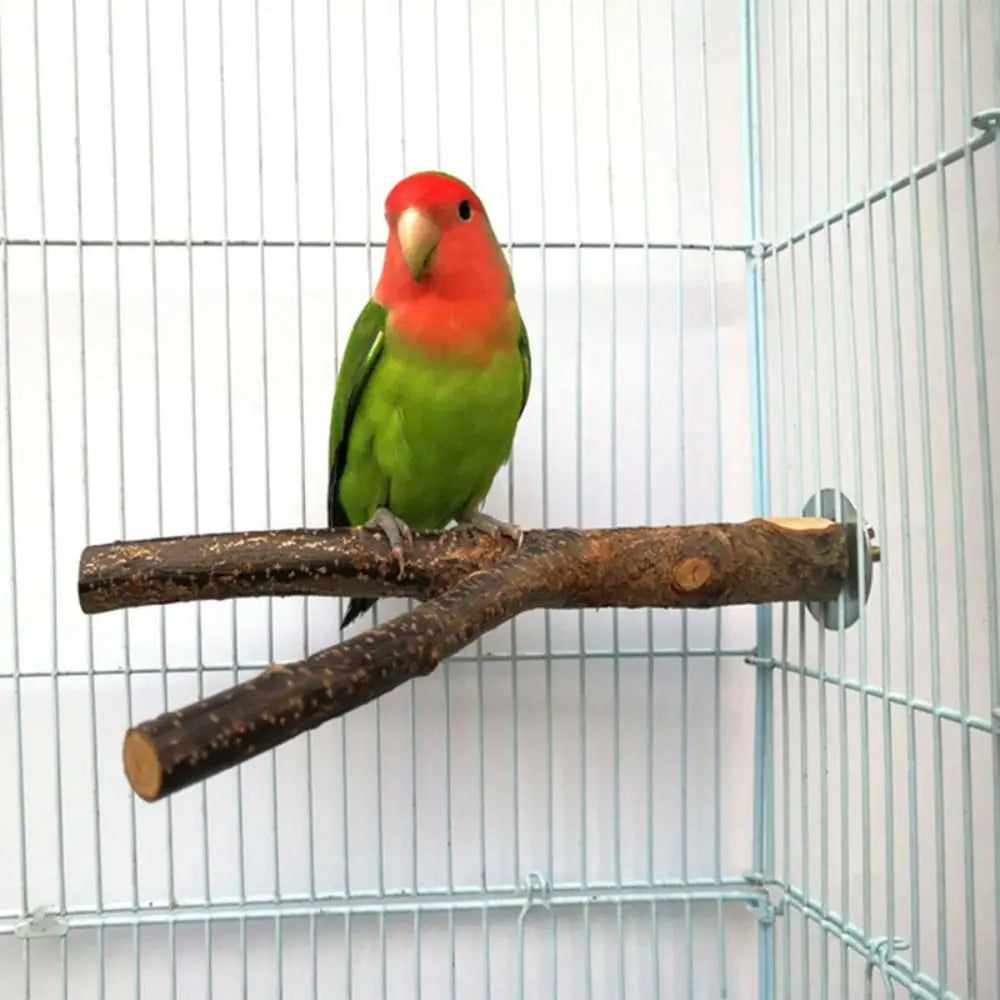 Wood Bird Stand Tree Branch