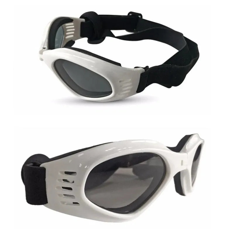 Pet Sunglasses