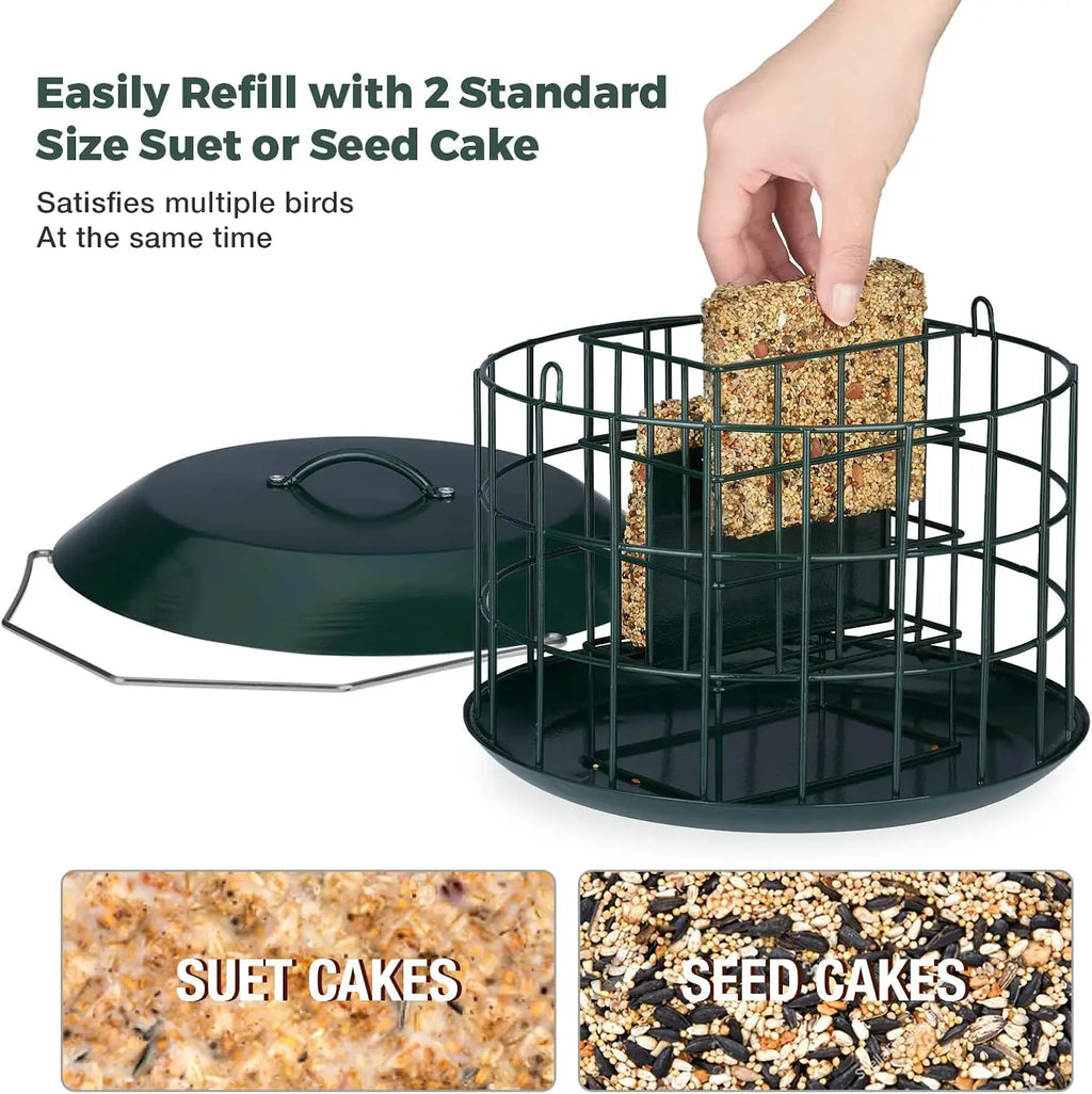 Squirrel Proof Suet Feeder