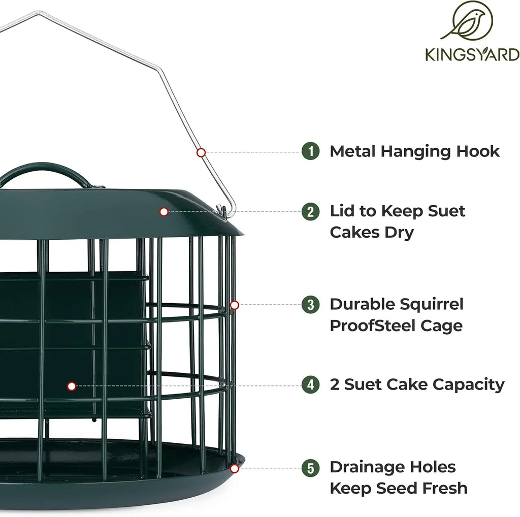 Squirrel Proof Suet Feeder