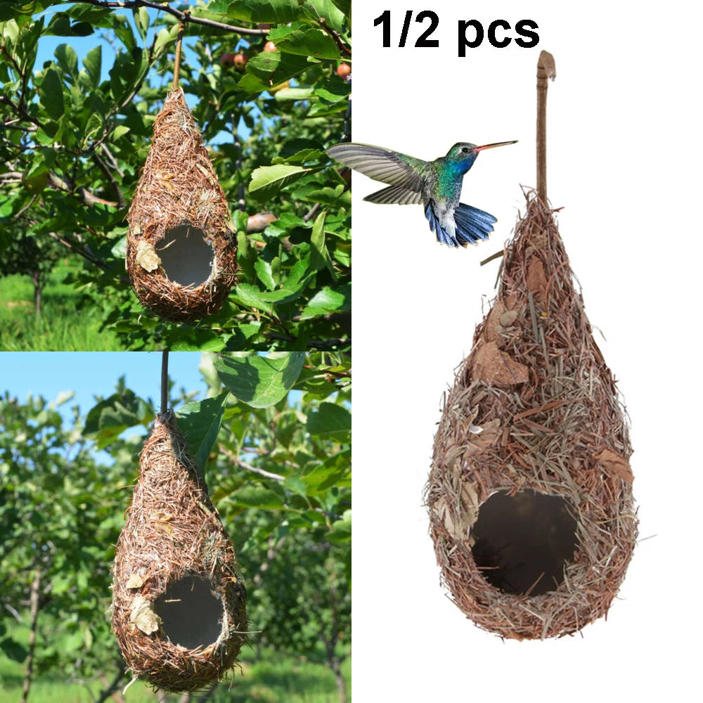 Natural Grass Hummingbird Bird Nest