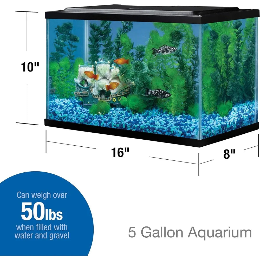 5 5 Gallon Rectangular Glass Aquarium Tank for Fish