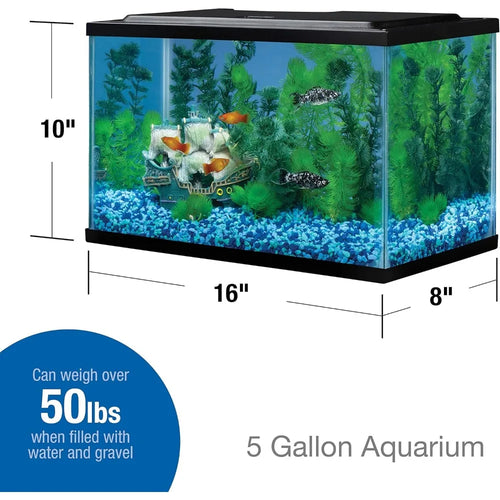 5 5 Gallon Rectangular Glass Aquarium Tank for Fish