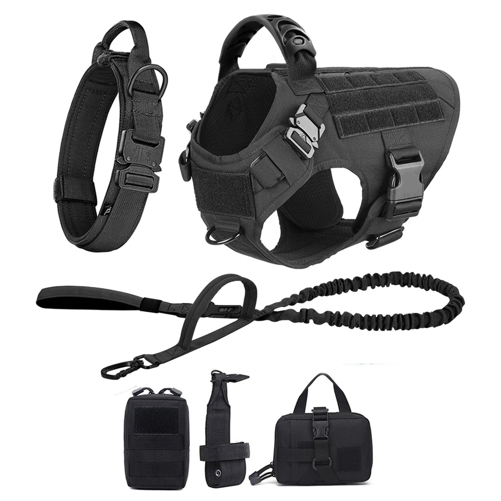 Dog Harness And Leash Set
